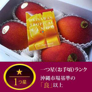 沖縄県産完熟アップルマンゴー　(2kg)　お中元用;