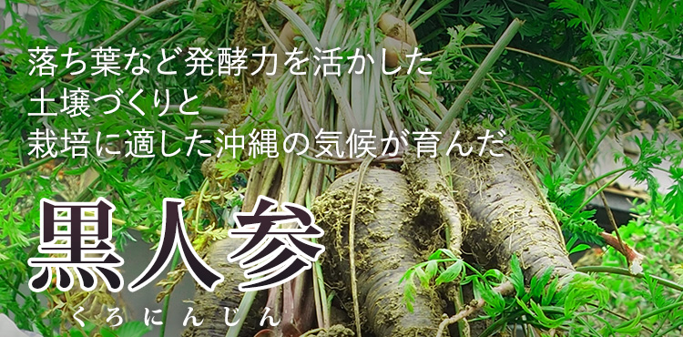 落ち葉など発酵力を活かした土壌づくりと栽培に適した沖縄の気候が育んだ「黒人参」
