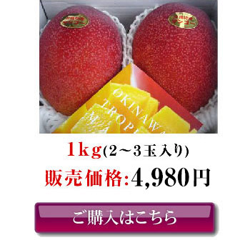 1つ星（高級ランク）沖縄県産お中元アップルマンゴー（1kg）