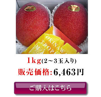 2つ星（高級ランク）沖縄県産お中元アップルマンゴー（1kg）