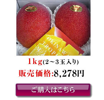 3つ星（超高級ランク）沖縄県産お中元アップルマンゴー（1kg）