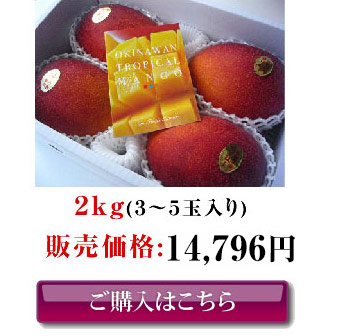3つ星（超高級ランク）沖縄県産お中元アップルマンゴー（2kg）