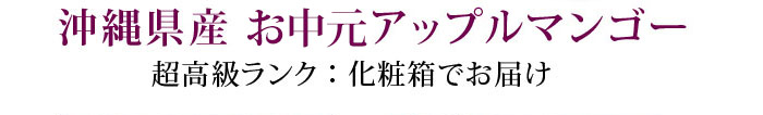 沖縄県産 超高級ランクお中元アップルマンゴー（化粧箱付き）