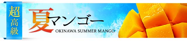 【最高級3つ星】沖縄マンゴー