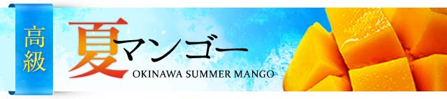 【高級2つ星】沖縄マンゴー