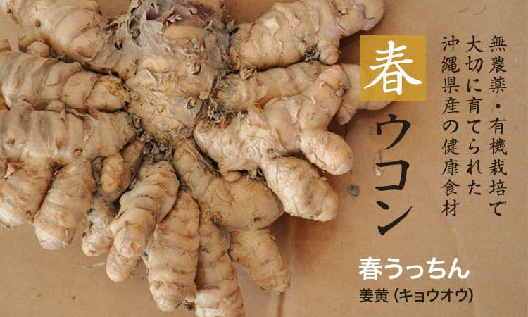 無農薬・有機栽培で大切に育てられた沖縄県産の健康食品「春ウコン・姜黄（キョウオウ）」