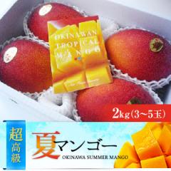 最高級3つ星ランク　沖縄県産完熟アップルマンゴー（2kg）