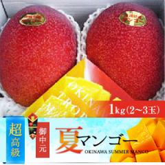 最高級3つ星ランク　沖縄県産完熟アップルマンゴー（1kg）熨斗付き