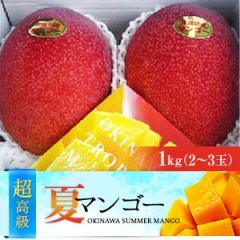 最高級3つ星ランク　沖縄県産完熟アップルマンゴー（1kg）