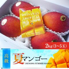 高級2つ星ランク　沖縄県産完熟アップルマンゴー（2kg）