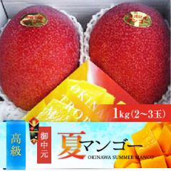 高級2つ星ランク　沖縄県産完熟アップルマンゴー（1kg）お中元用
