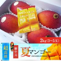 最高級３つ星ランク　沖縄県産完熟アップルマンゴー（2kg）熨斗付き