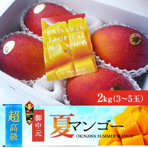 最高級３つ星ランク　沖縄県産完熟アップルマンゴー（2kg）熨斗付き;