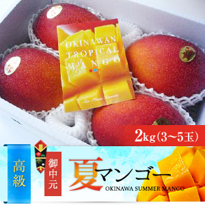 高級2つ星ランク　沖縄県産完熟アップルマンゴー（2kg）お中元用;