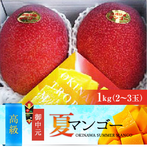 高級2つ星ランク　沖縄県産完熟アップルマンゴー（1kg）お中元用;
