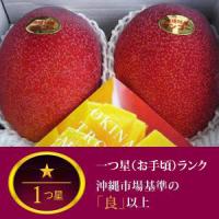 沖縄県産完熟アップルマンゴー　(1kg)