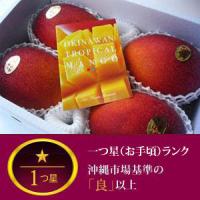 沖縄県産完熟アップルマンゴー　(2kg)　お中元用