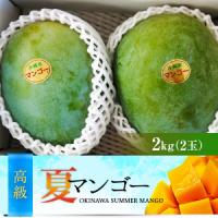 沖縄県産キーツマンゴー２玉(約1.5kg～2kg)