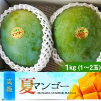 沖縄県産キーツマンゴー1～2玉(約1kg)